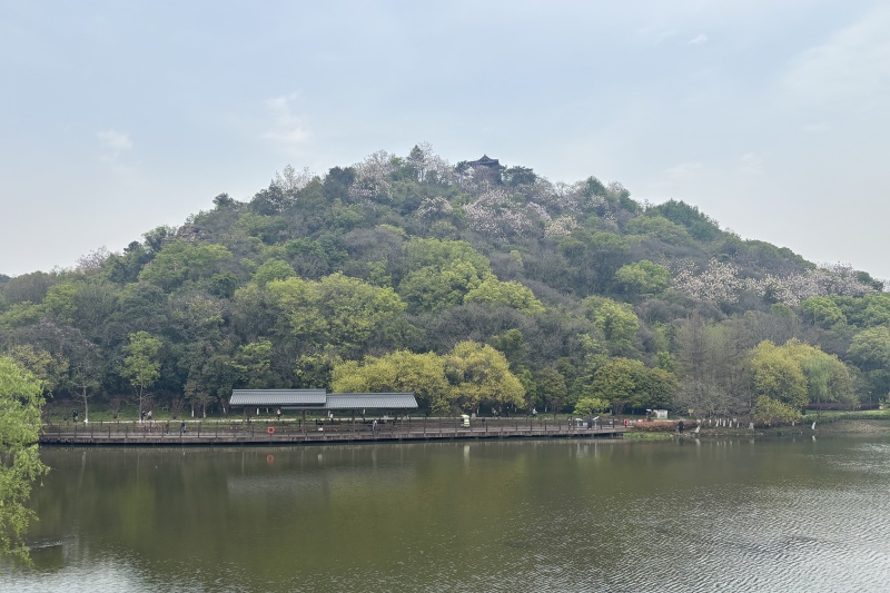 1745290399383541.jpg 鏡湖濕地公園1.jpg
